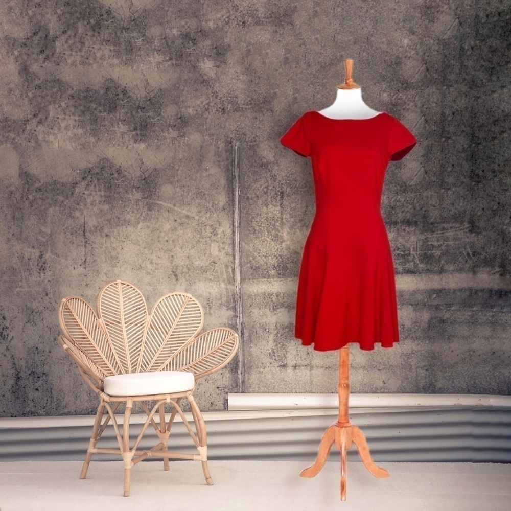 𝅺LEONA Red Fit and Flare Dress